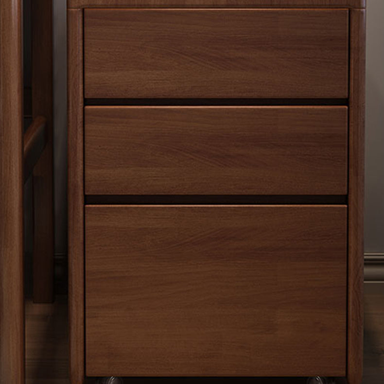 Solid Wood Bedside Cabinet Modern Minimalist Bedside Table with Drawers