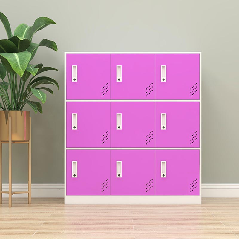 Metal Matte Finish Non-Hanging Cabinet Modern Storage Cabinet with Hinged Doors