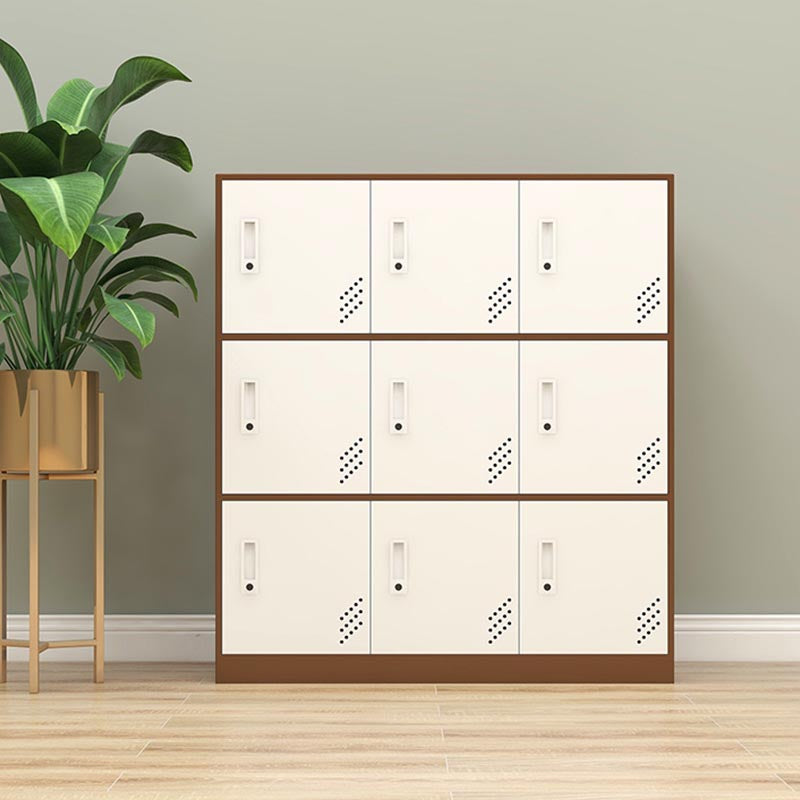 Metal Matte Finish Non-Hanging Cabinet Modern Storage Cabinet with Hinged Doors