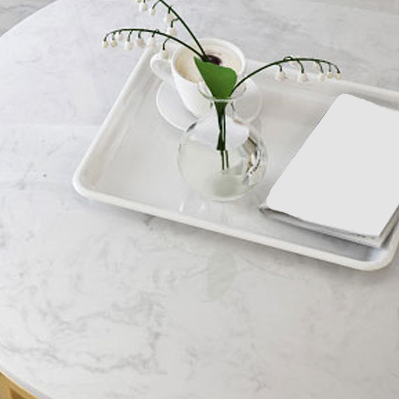 Frame Glam Simple Coffee Table Marble Round Cocktail Table Set