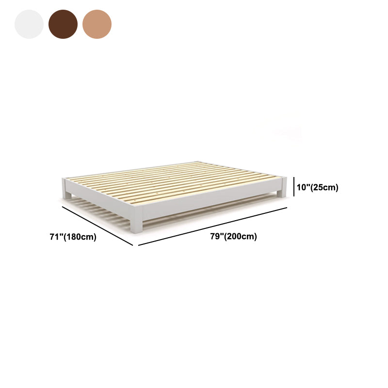 Contemporary Rubberwood With Custom Gold Legs Solid Color Standard Bed