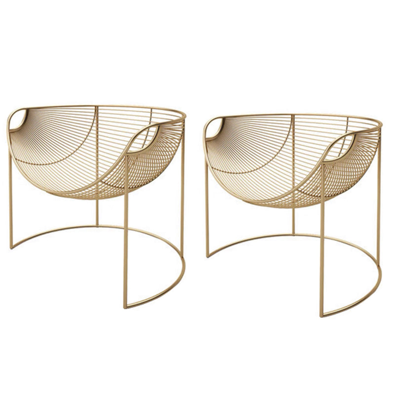 Glam Arms Included Round Arms Fixed Back Living Room Accent Armchair