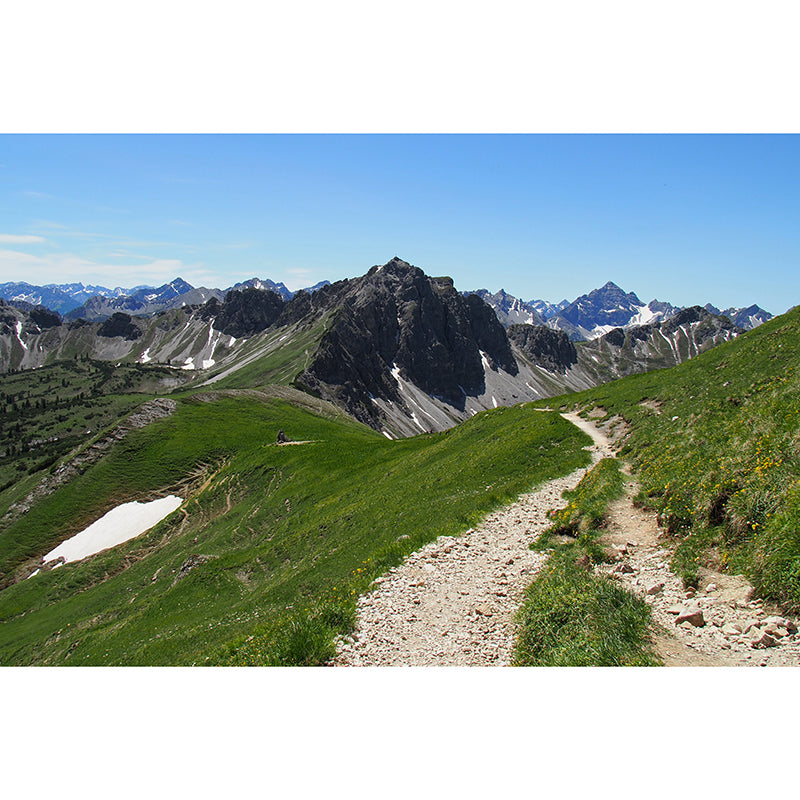 Stain Resistant Modern Wallpaper Stain Resistant Photography Bedroom Wall Mural