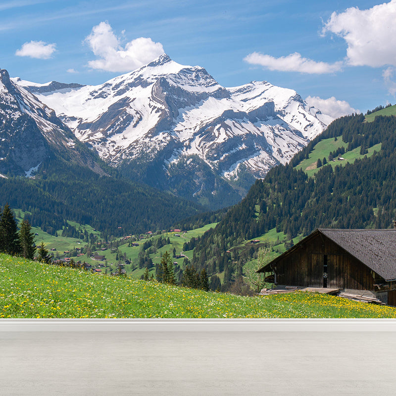 Photography Mountain Wall Mural Decorative Mildew Resistant Living Room Wall Mural