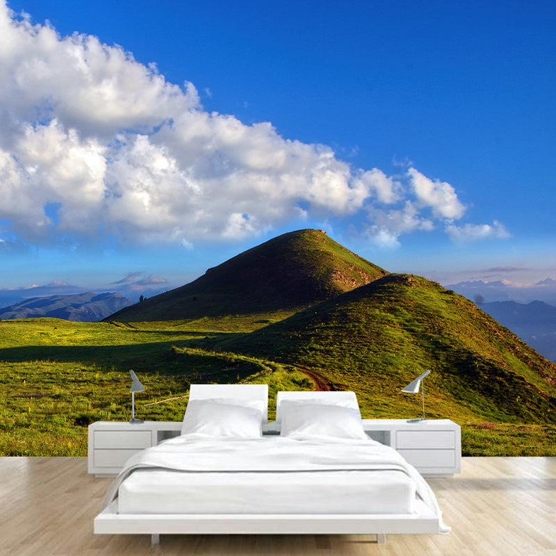 Environmental Mountain Wallpaper Photography Stain Resistant Modern Mural