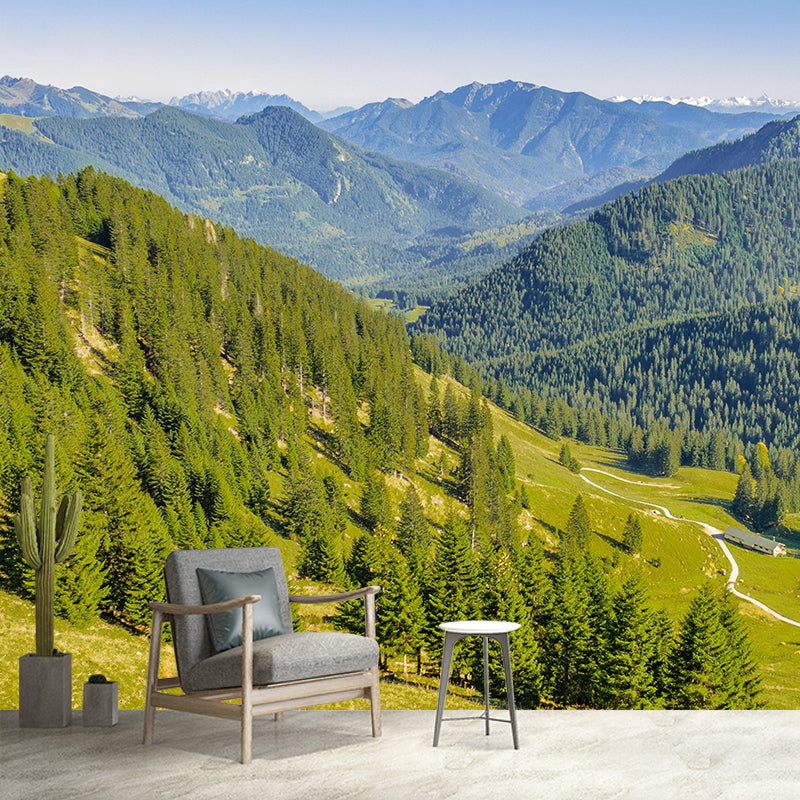 Decorative Photography Wallpaper Contemporar Mountain Stain Resistant Wall Mural