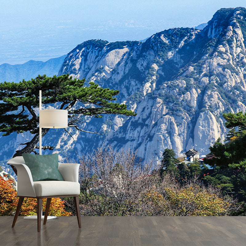 Photography Decorative Wall Mural Mountain Stain Resistant Decorative Wallpaper