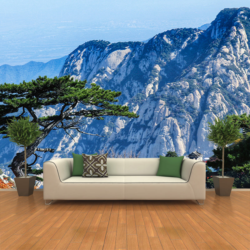 Photography Decorative Wall Mural Mountain Stain Resistant Decorative Wallpaper