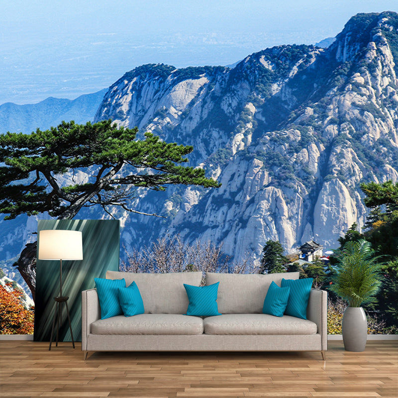 Photography Decorative Wall Mural Mountain Stain Resistant Decorative Wallpaper