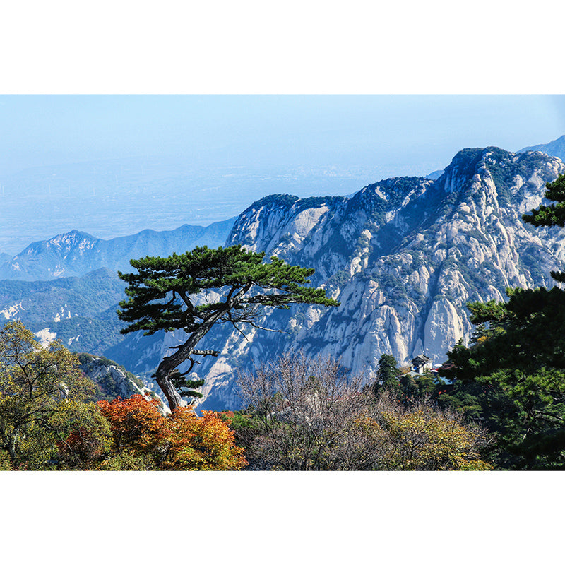 Photography Decorative Wall Mural Mountain Stain Resistant Decorative Wallpaper