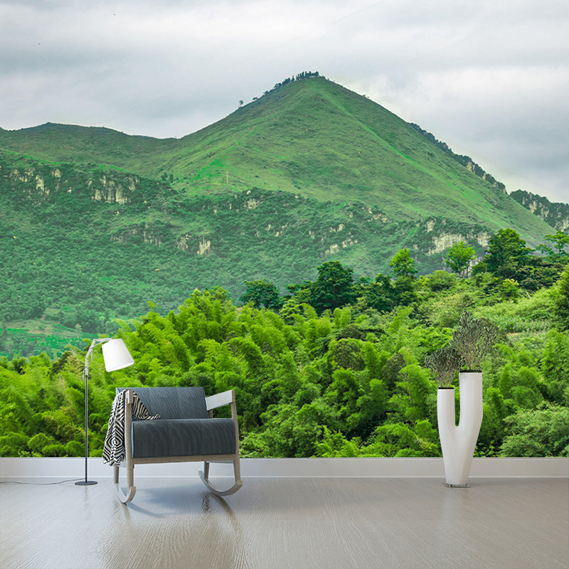 Landscapes Photography Wall Mural Mildew Resistant Photography Mountain Wallpaper