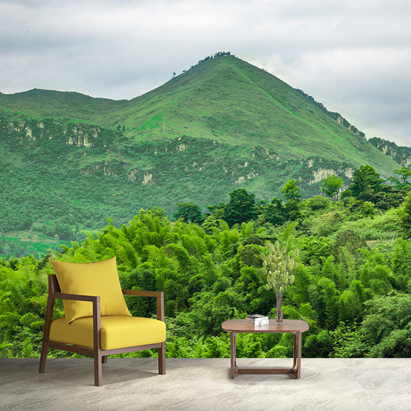 Landscapes Photography Wall Mural Mildew Resistant Photography Mountain Wallpaper