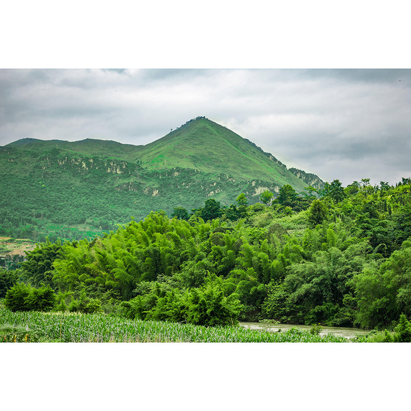 Landscapes Photography Wall Mural Mildew Resistant Photography Mountain Wallpaper