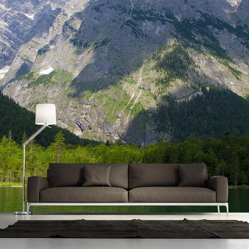 Photography Mountain Wall Mural Bedroom Contemporary Stain Resistant Wallpaper