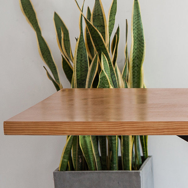 Solid Wood Dining Table Set 1/5 Pcs Industrial Dining Table with Cow Horn Chairs