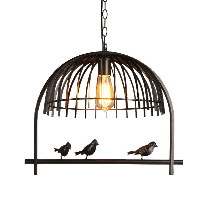 Lodge Style Birdcage Design Hanging Light Fixture 1 Head Iron Pendant Lighting with Wire Dome Shade in Rust/Black