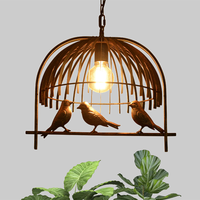 Lodge Style Birdcage Design Hanging Light Fixture 1 Head Iron Pendant Lighting with Wire Dome Shade in Rust/Black