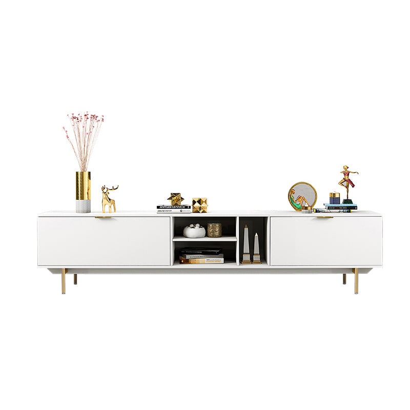 Modern Enclosed Storage TV Stand Wooden TV Cabinet with Splayed Metal Legs