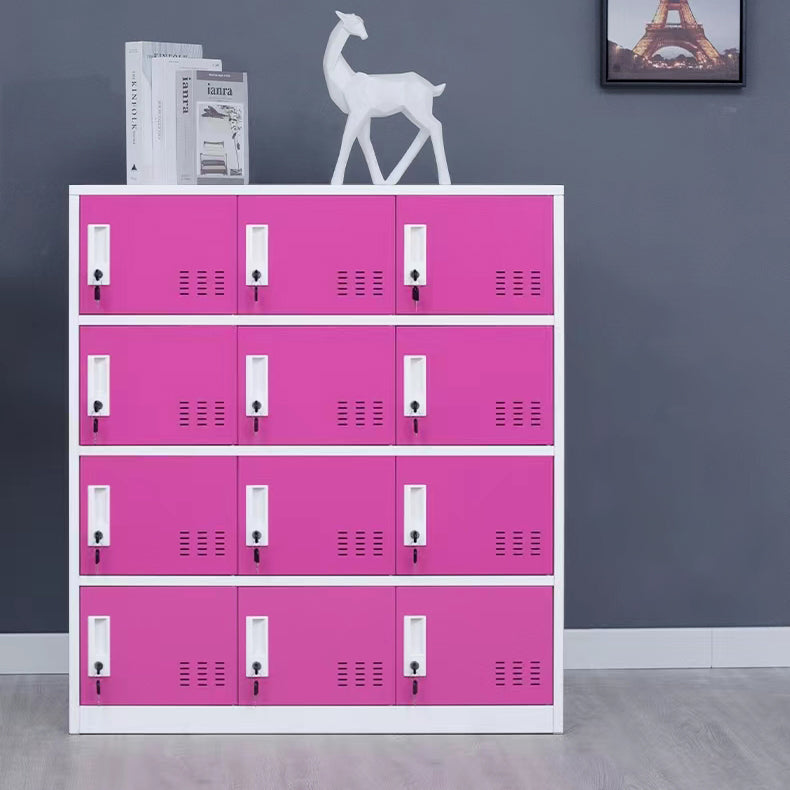 Modern Storage Cabinet with Hinged Doors Metal Non-Hanging Armoire for Bathroom