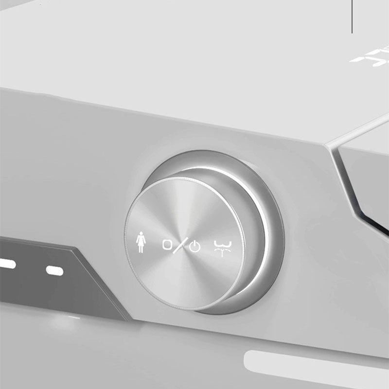 Ultraviolet Sterilization Toilet Elongated Floor Mounted One Piece Toilet