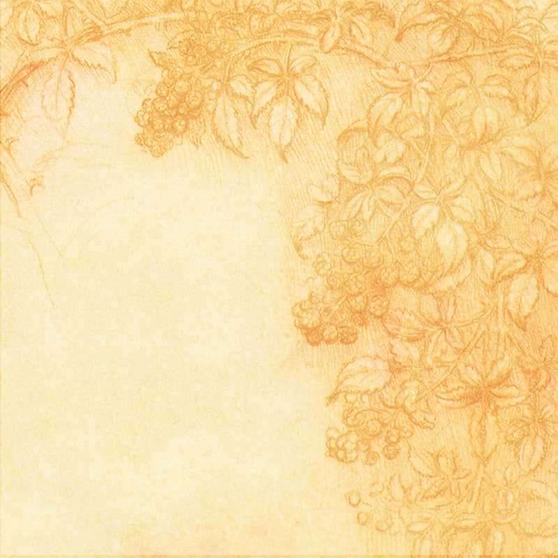 Illustration Mildew Resistant Mural Wallpaper Flowers Decoration Indoor Wall Mural