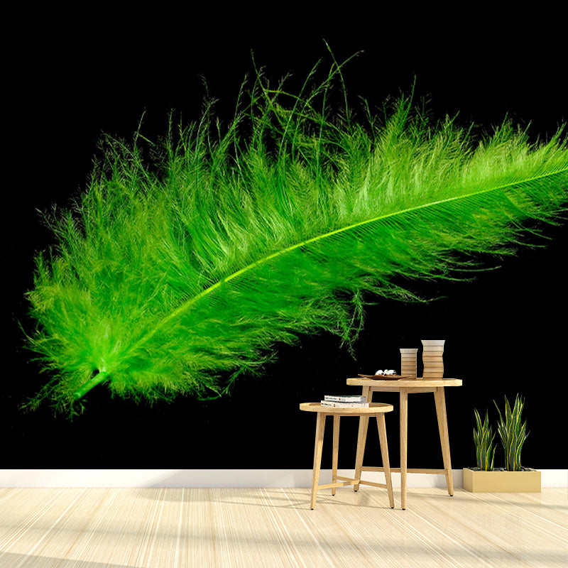 Photography Decorative Wallpaper Feather Stain Resistant Decorative Wall Mural