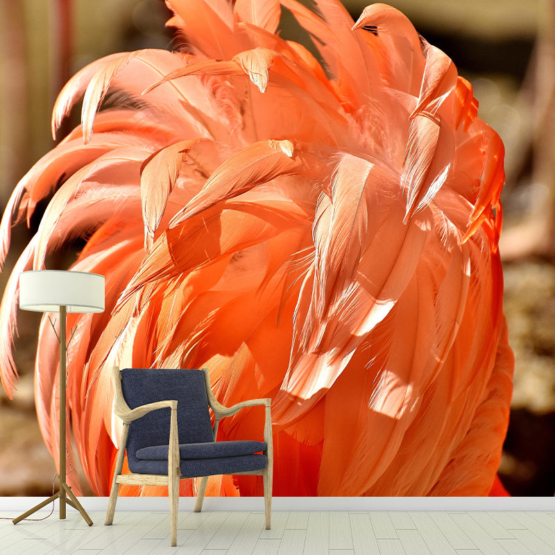 Photography Decorative Wallpaper Feather Stain Resistant Decorative Wall Mural