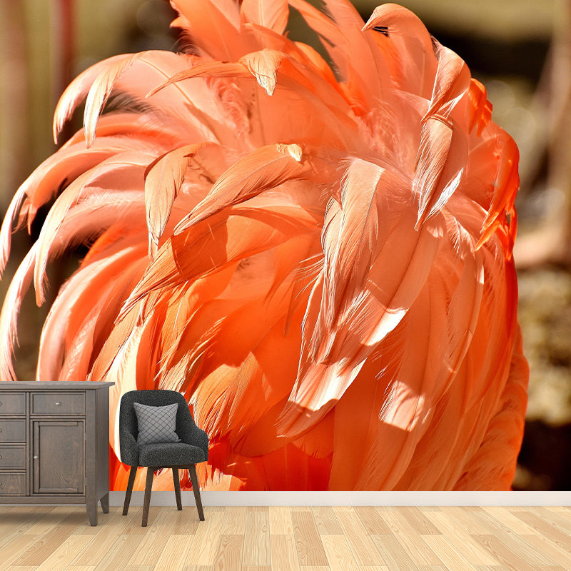 Photography Decorative Wallpaper Feather Stain Resistant Decorative Wall Mural