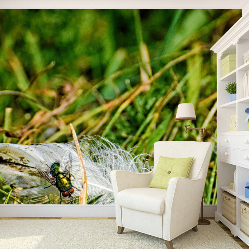 Feather Photography Wall Mural Contemporary Stain Resistant for Accent Wall