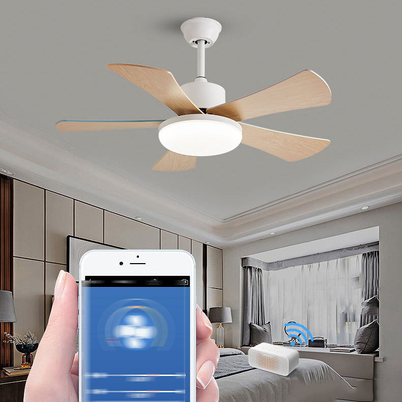 Colorful Ceiling Fan Light Fixture Modern LED Ceiling Flush Mount for Kids' Room