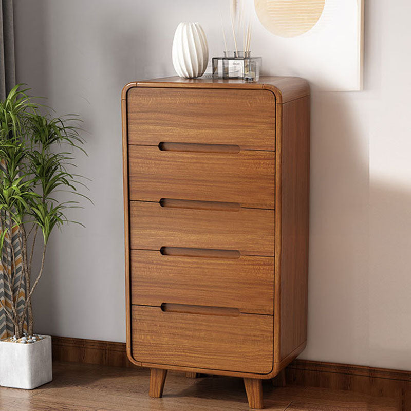 Contemporary Wooden Storage Chest Home Chest in Brown with Drawers