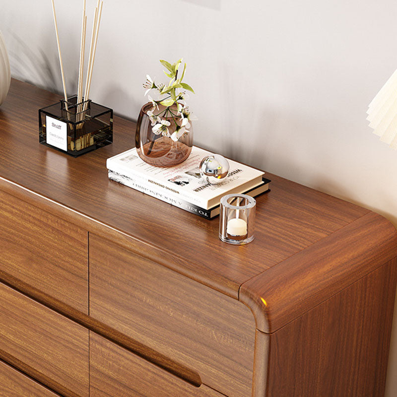 Contemporary Wooden Storage Chest Home Chest in Brown with Drawers