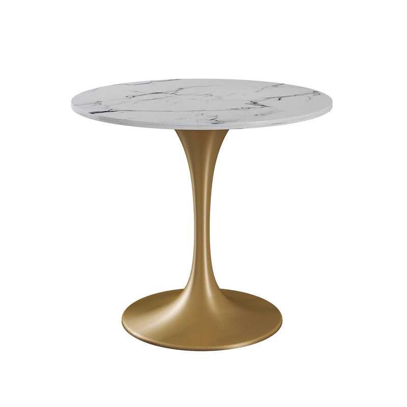 Glam Style Sintered Stone Dining Set Round 1/4/5 Pieces Dining Table Set for Home Use