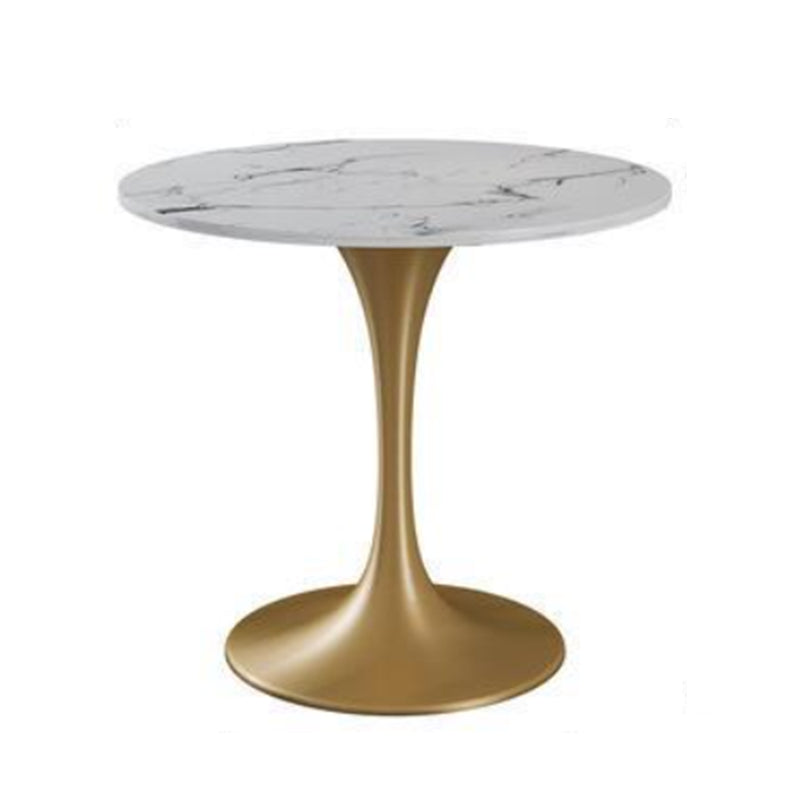 Modern 1/2/4/5 Pieces Dining Set Round Stone Dining Table for Dining Room