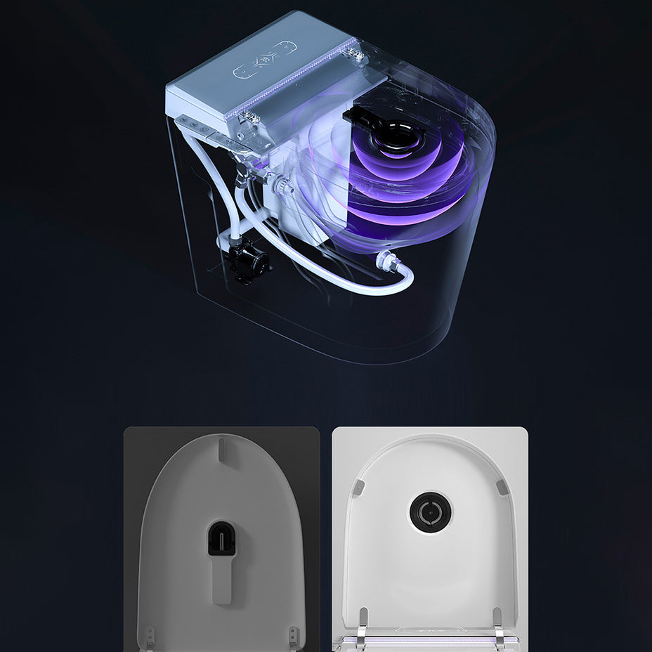 Modern Floor Mounted White Urine Toilet Siphon Jet Toilet Bowl with Toilet Seat