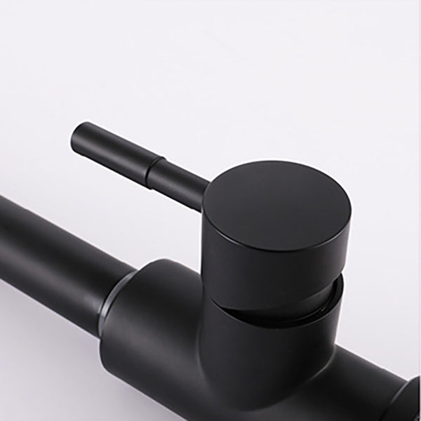 Modern 1-Handle Faucets Stainless Steel Gooseneck with Pull Out Sprayer Faucets