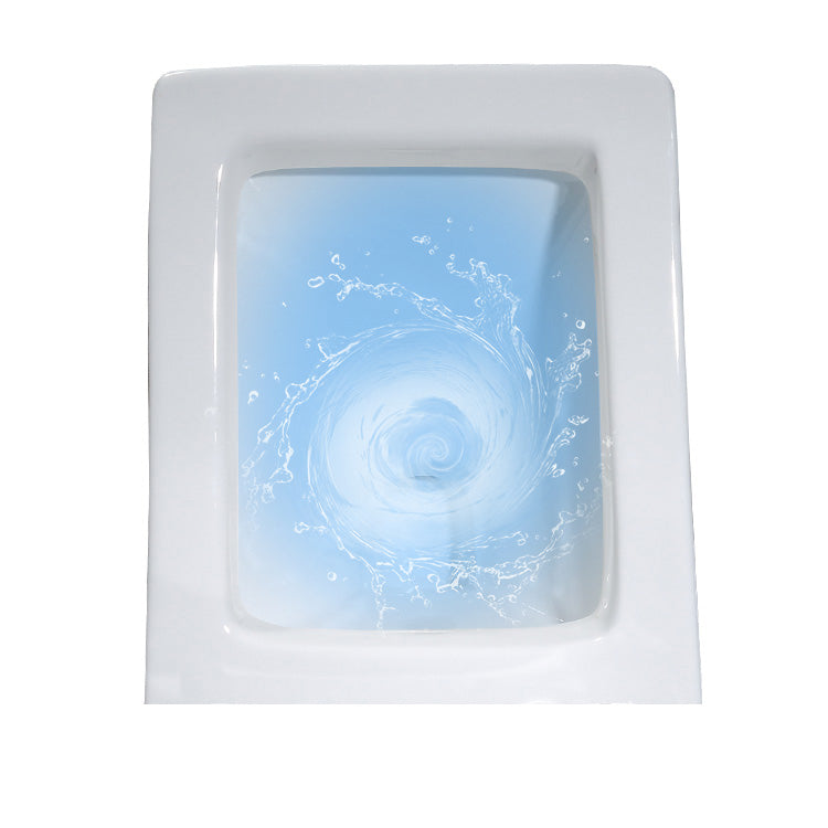 Skirted Traditional Toilet Floor Mount One-Piece Toilet with Slow Close Seat