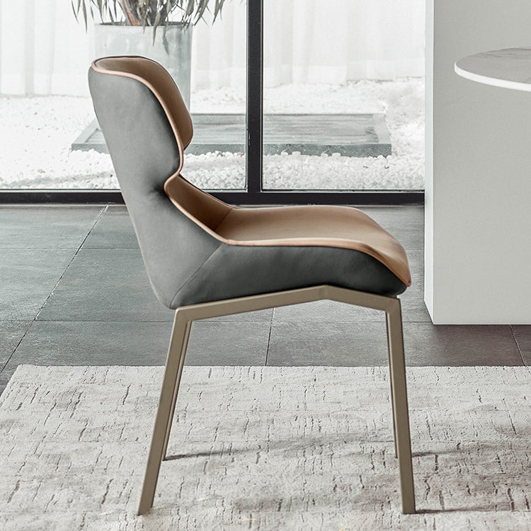 Modern Style Chairs Dining Chairs with Metal Legs for Kitchen