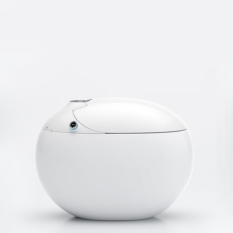 Contemporary 1-Piece Bidet Toilet Floor Mounted Round Toilet Bowl for Washroom