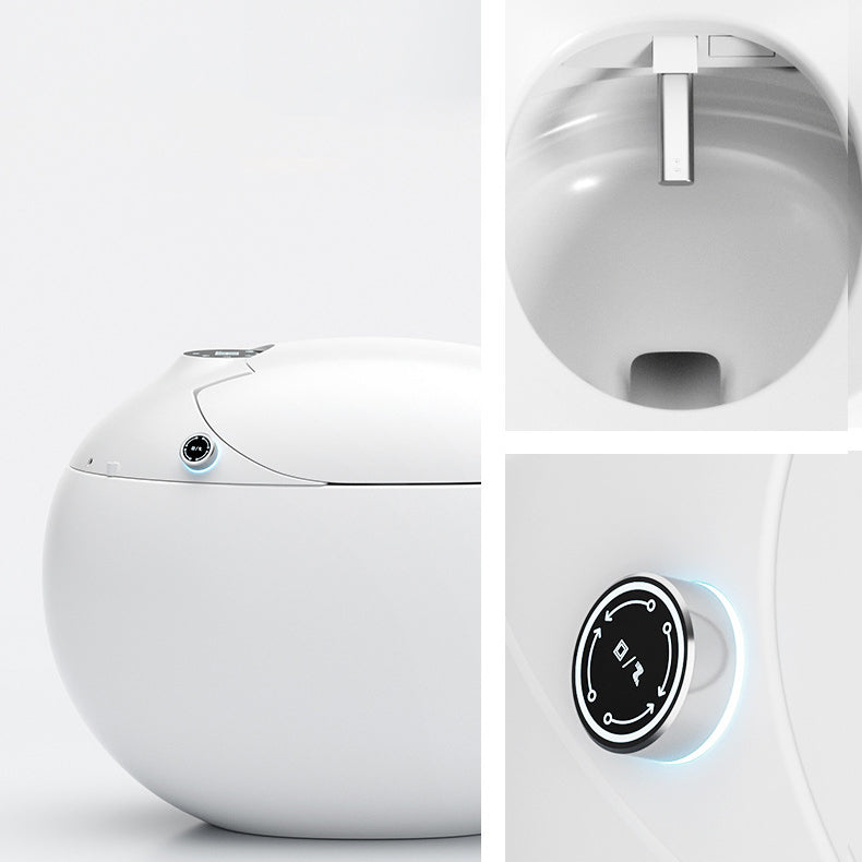 Contemporary 1-Piece Bidet Toilet Floor Mounted Round Toilet Bowl for Washroom