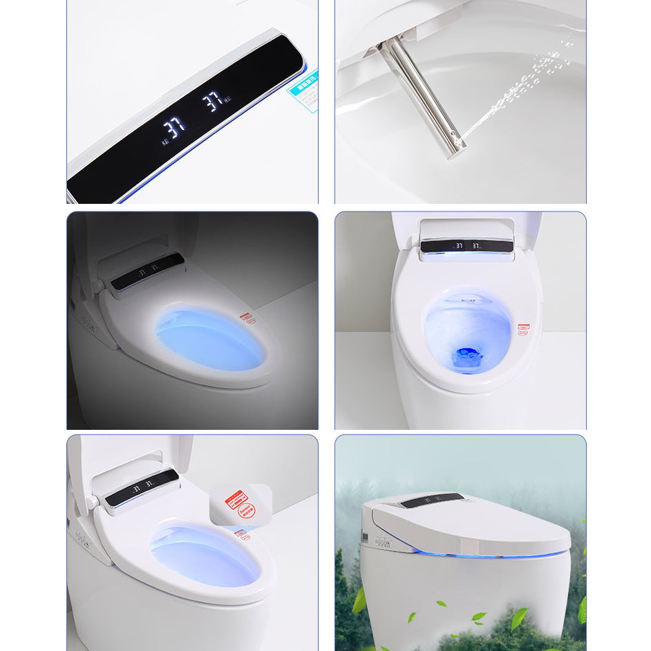 Modern Floor Mount Toilet Bowl Siphon Jet Bidet Toilet with Seat for Bathroom