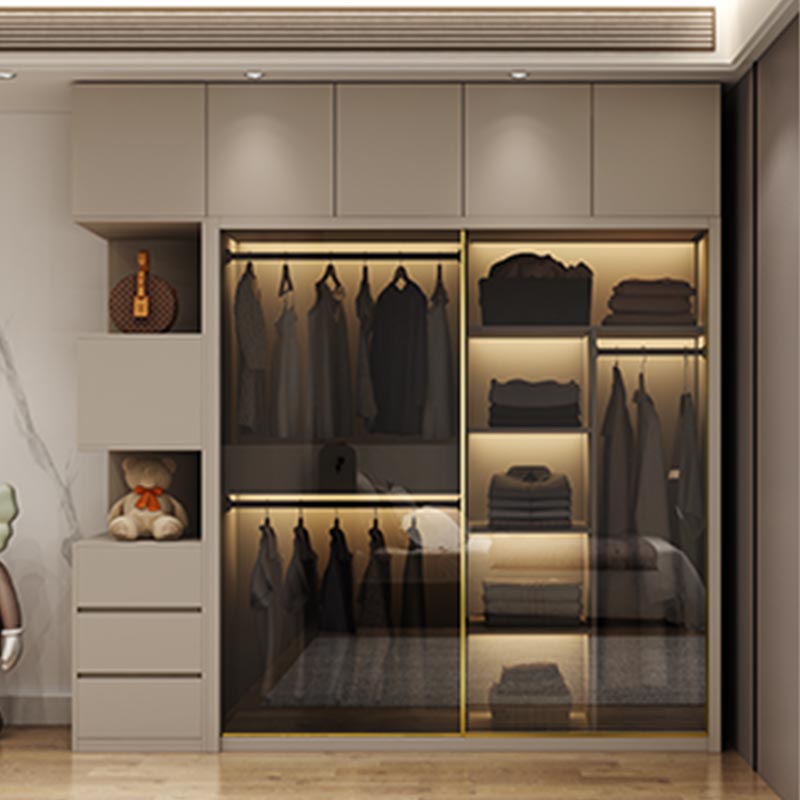 Modern Style Glass Wardrobe Cloth Rod Included Wardrobe Closet with 1-Drawer