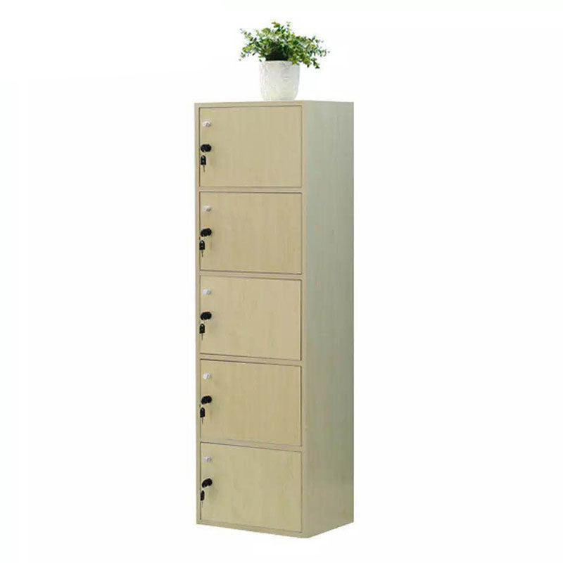 Matte Finish Non-Hanging Cabinet Modern Wood Storage Cabinet with Hinged Doors