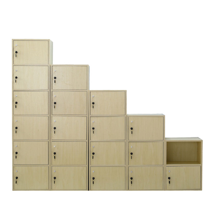 Matte Finish Non-Hanging Cabinet Modern Wood Storage Cabinet with Hinged Doors