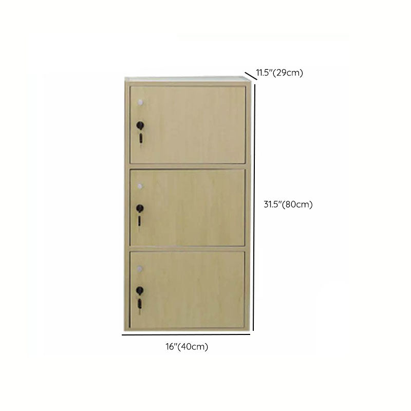 Matte Finish Non-Hanging Cabinet Modern Wood Storage Cabinet with Hinged Doors