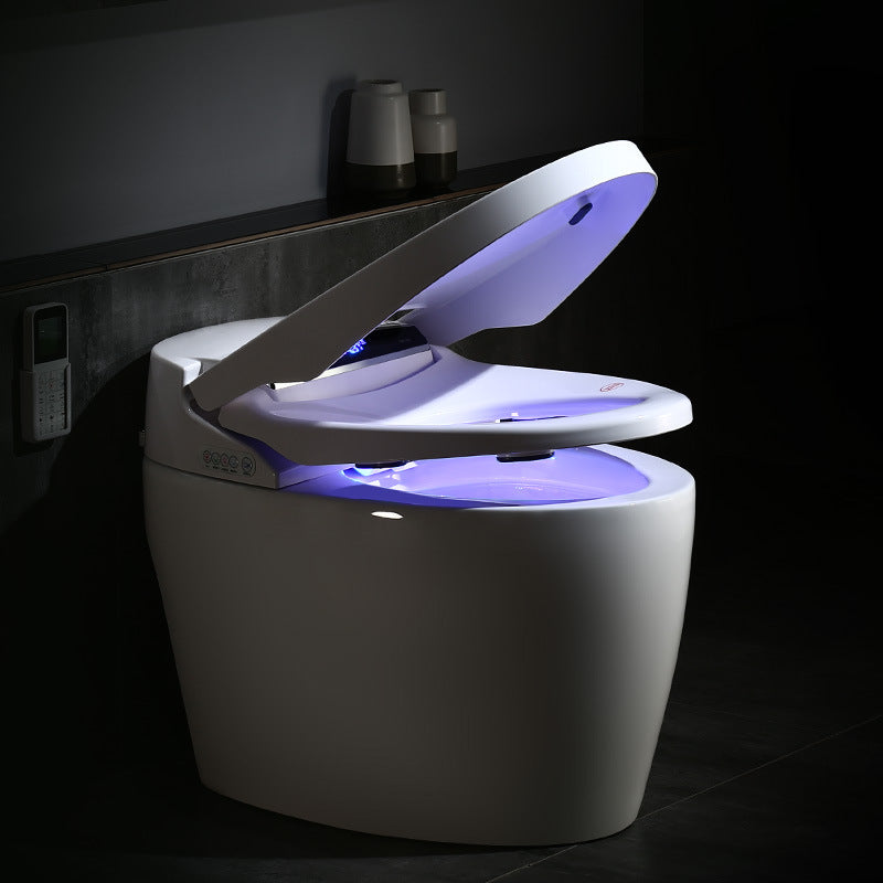 Modern 1-Piece Bidet Toilet Floor Mounted Toilet Bowl for Washroom