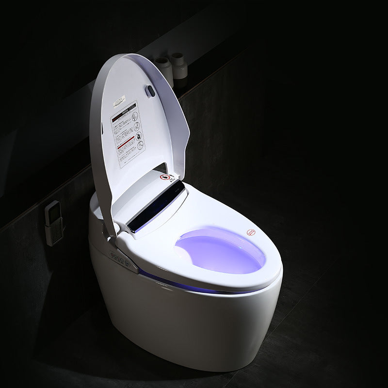 Modern 1-Piece Bidet Toilet Floor Mounted Toilet Bowl for Washroom