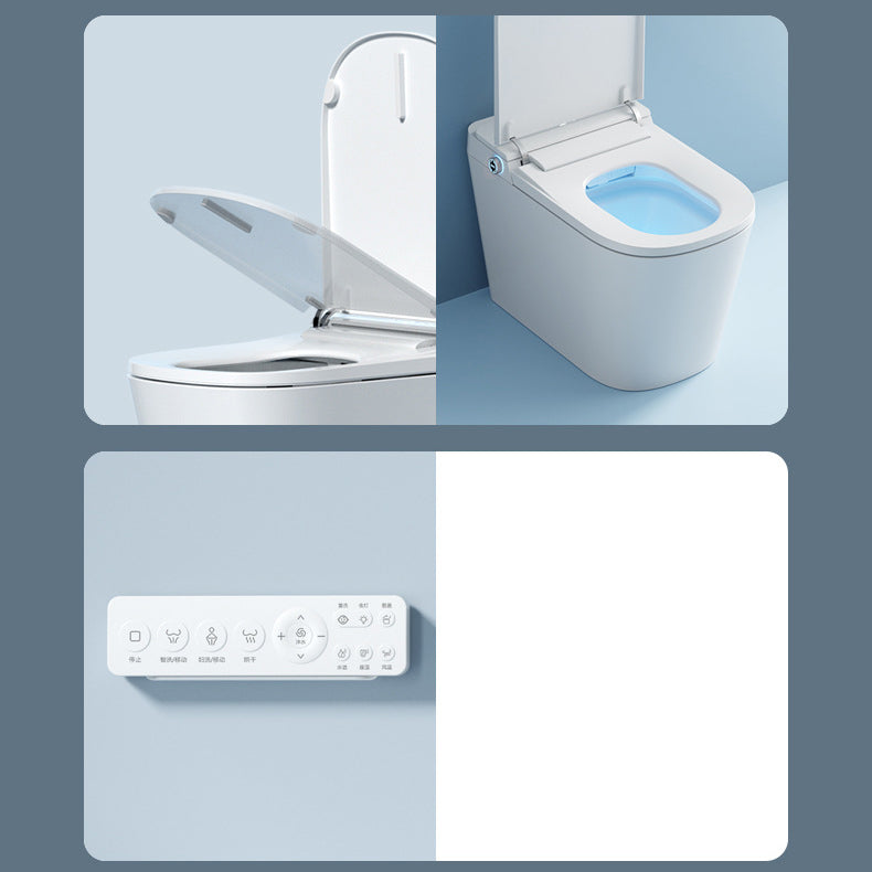 Modern Siphon Jet Toilet Bowl Floor Mount Skirted Toilet with Toilet Seat