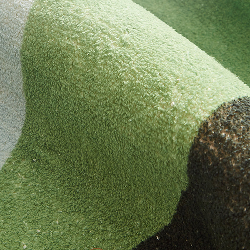 Green Contemporary Carpet Polyester Color Block Carpet Washable Carpet for Drawing Room