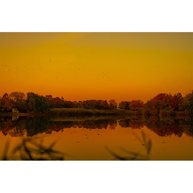 Photography Beautiful Sky Mural Mildew Resistant Wallpaper Sleeping Room Wall Mural